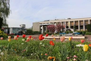 Vue de l'Hôtel de Ville au printemps