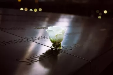 Fleur blanche sur sépulture