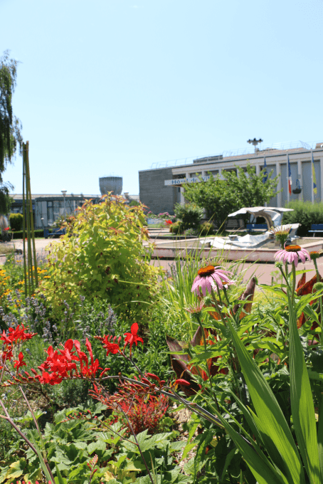Hôtel de Ville fleuri sous le soleil